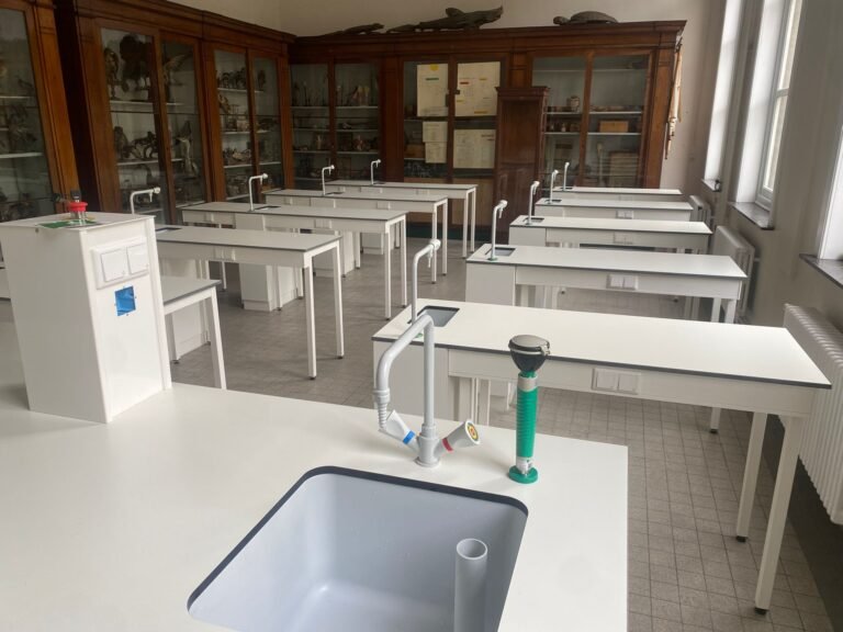 WhatsApp Image 2025-09-01 at 14.12.48 (1)