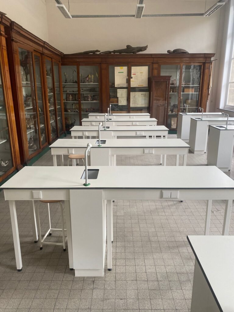 WhatsApp Image 2025-09-01 at 14.12.48 (2)