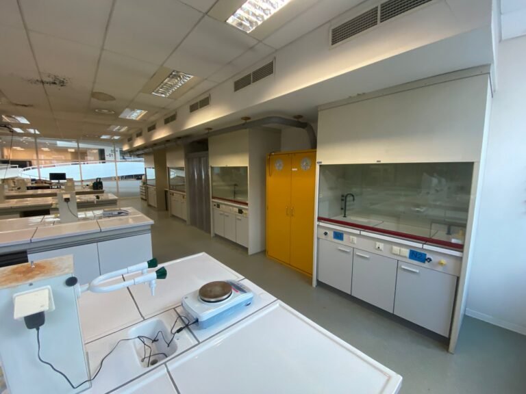 WhatsApp Image 2025-09-01 at 14.20.27