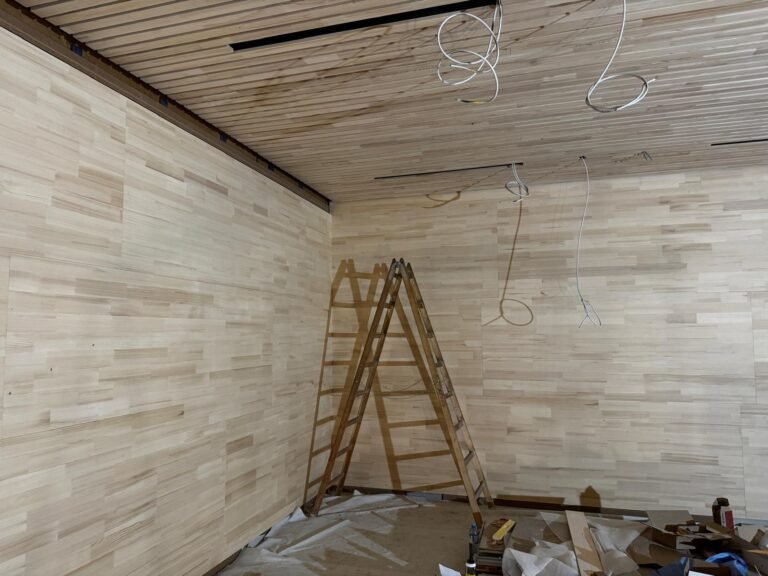 WhatsApp Image 2026-02-04 at 10.31.03