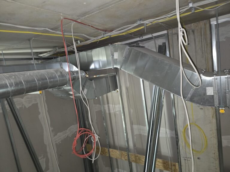 WhatsApp Image 2026-02-04 at 14.17.33